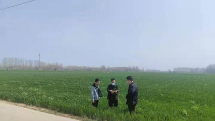 尉氏縣永興鎮:“科技壯苗”服務到田間地頭 保夏糧豐收