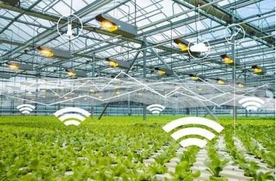 線上綠色農業:綠色農產品牽手“互聯網”,帶來新機遇